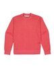 Mons Royale Womens Horizon Merino Crew watermelon